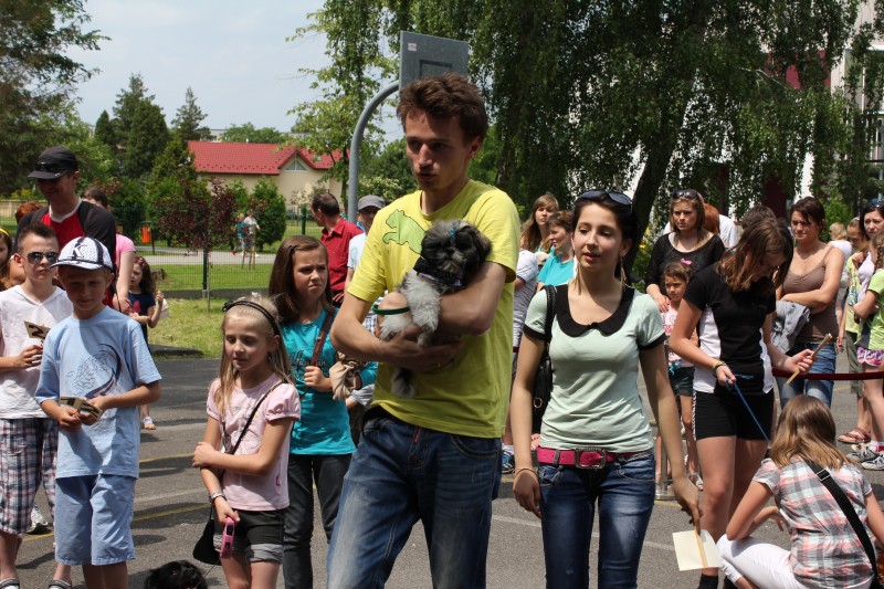 Dni Brzeska 2013 :: Najsympatyczniejszy pies